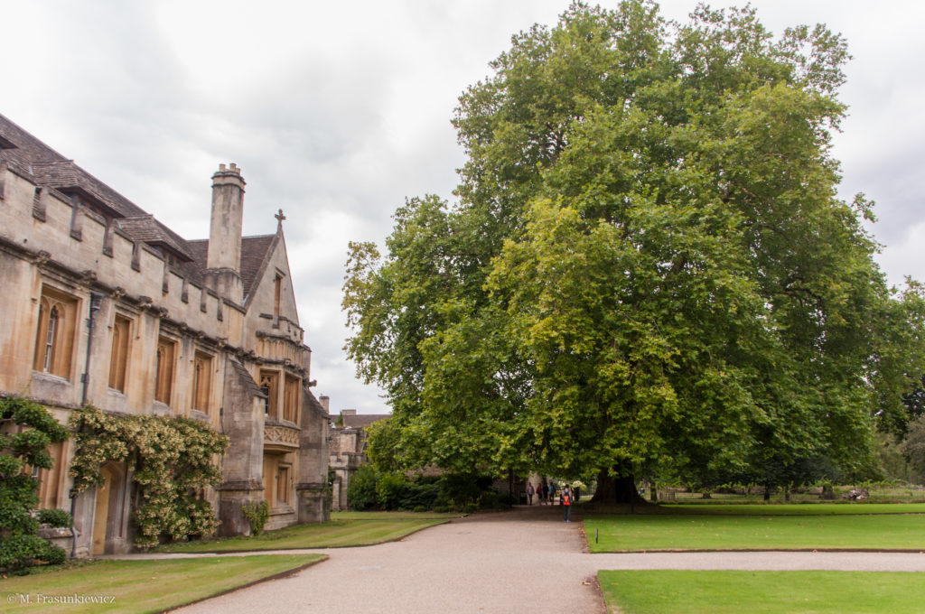 Zakręcona w Podróży: Oksford - Magdalen College