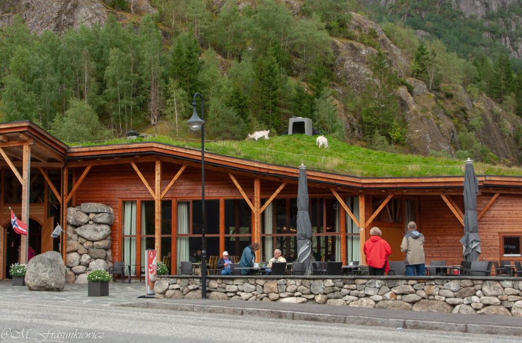 Zakręcona w Podróży: Norwegia atrakcje - Muzeum Przyrodnicze Hardangervidda